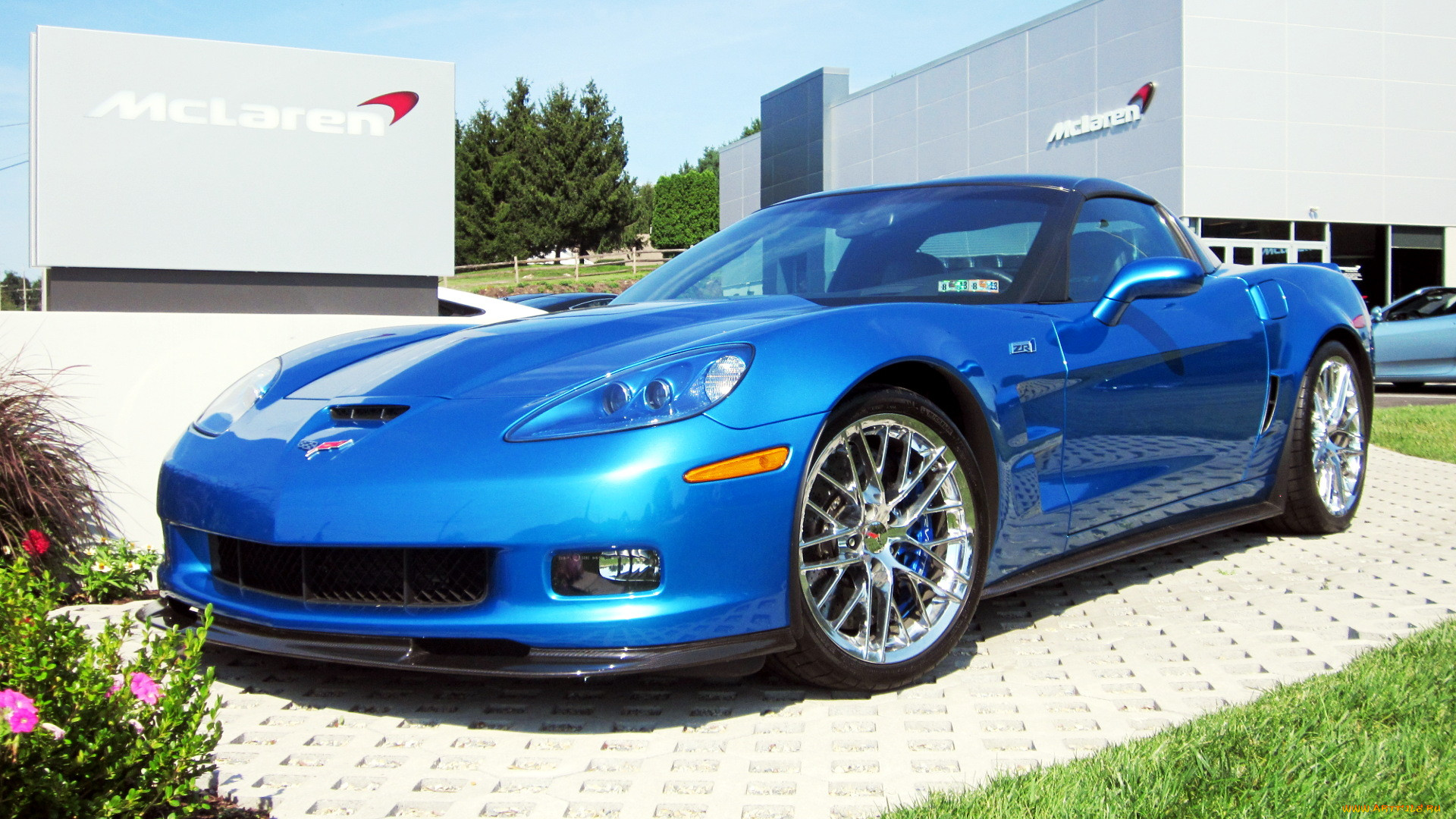 corvette, , gm, chevrolet, division, 